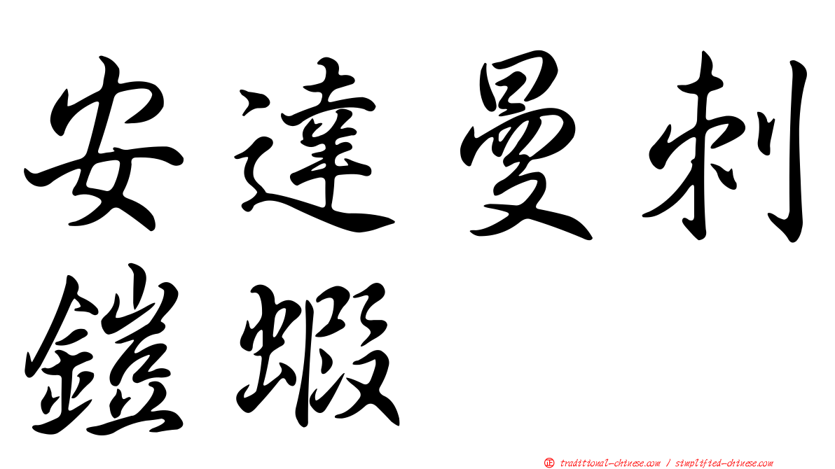 安達曼刺鎧蝦