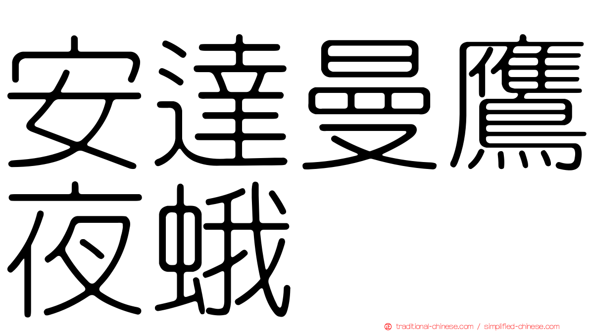 安達曼鷹夜蛾