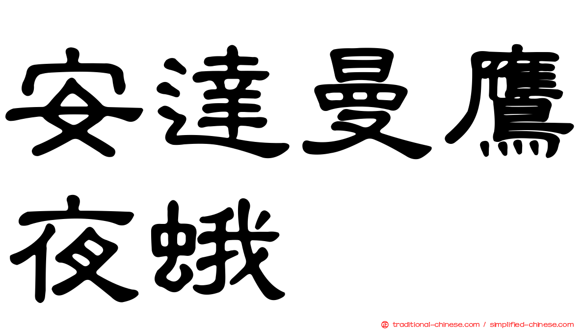 安達曼鷹夜蛾