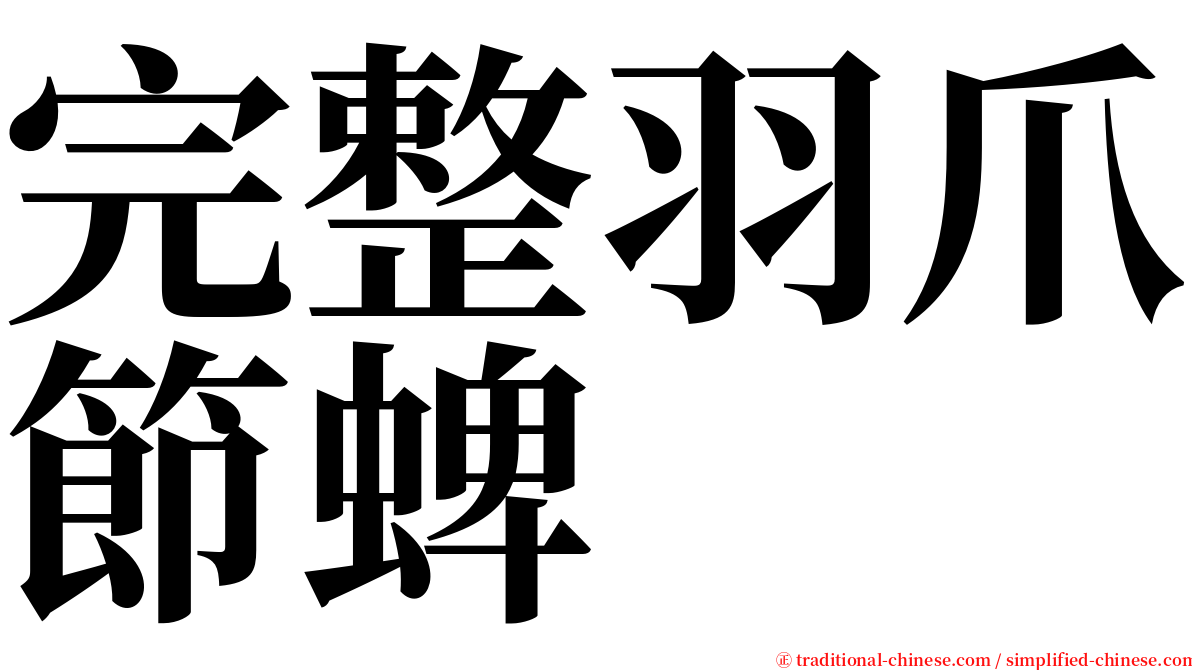完整羽爪節蜱 serif font