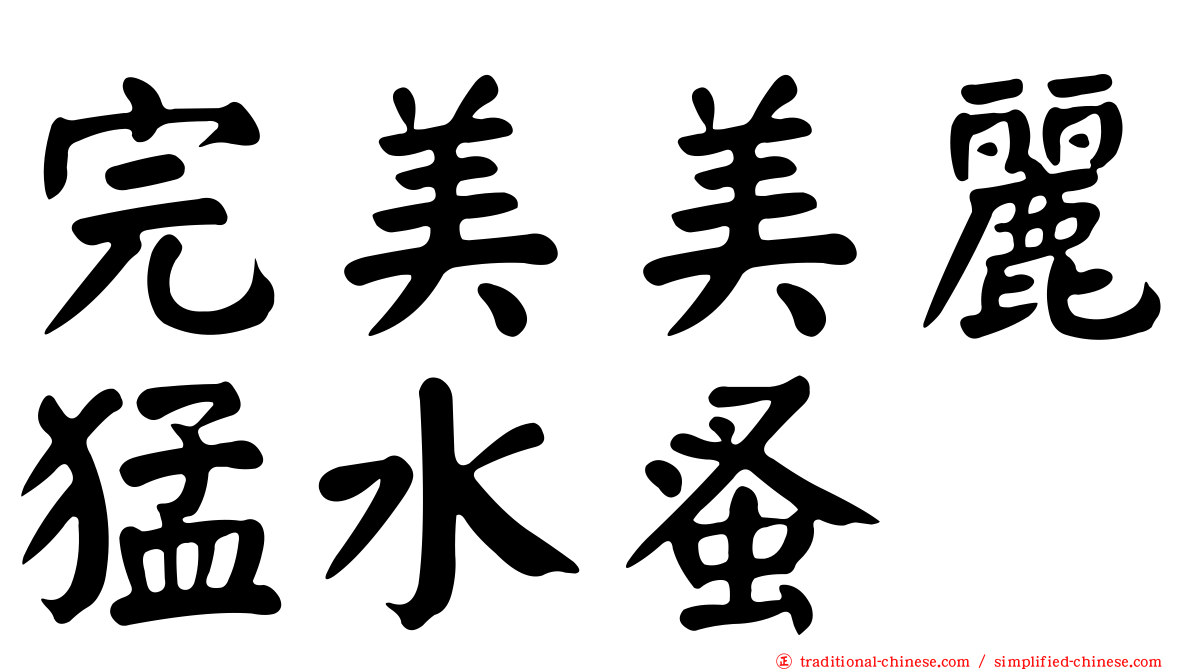 完美美麗猛水蚤