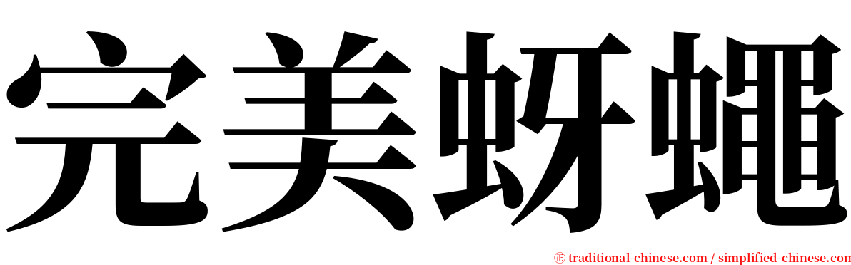 完美蚜蠅 serif font
