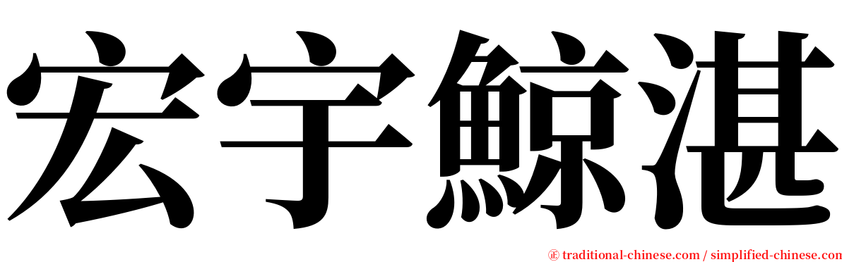宏宇鯨湛 serif font
