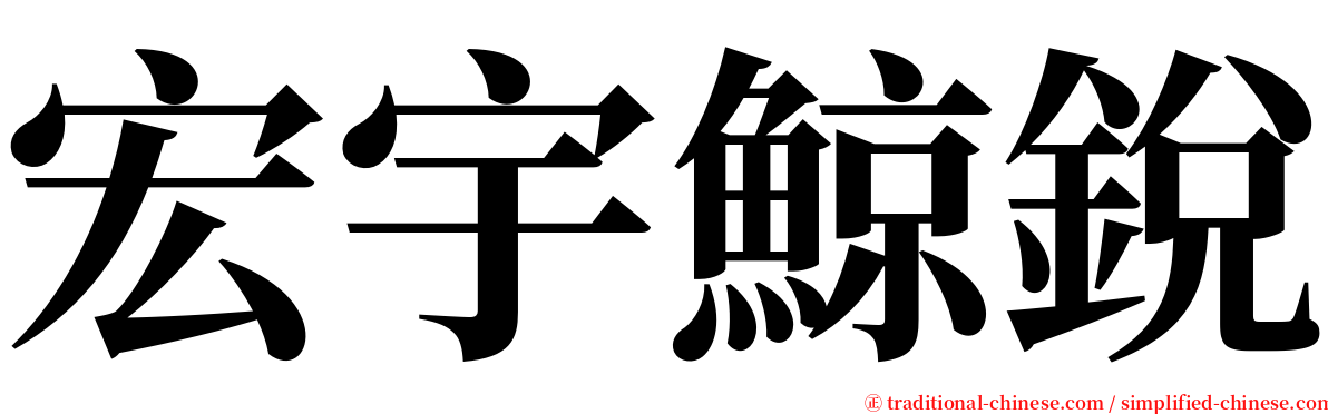 宏宇鯨銳 serif font