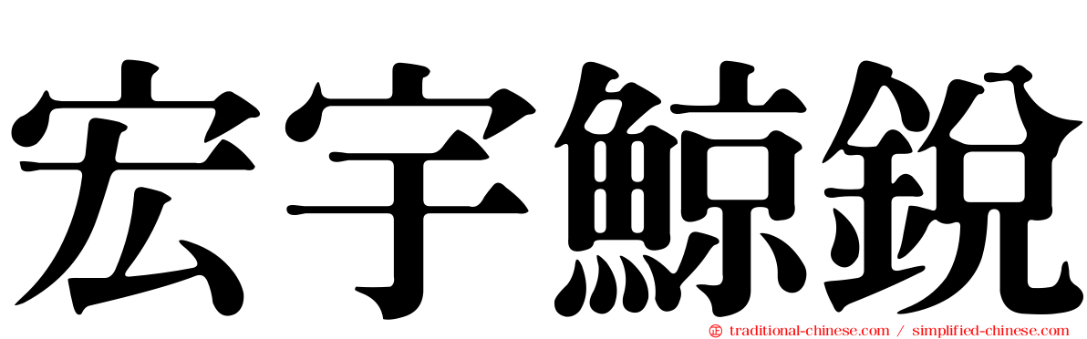 宏宇鯨銳