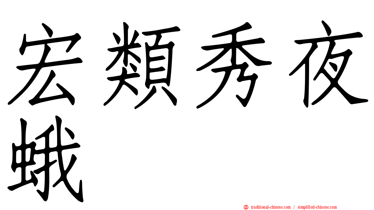 宏類秀夜蛾