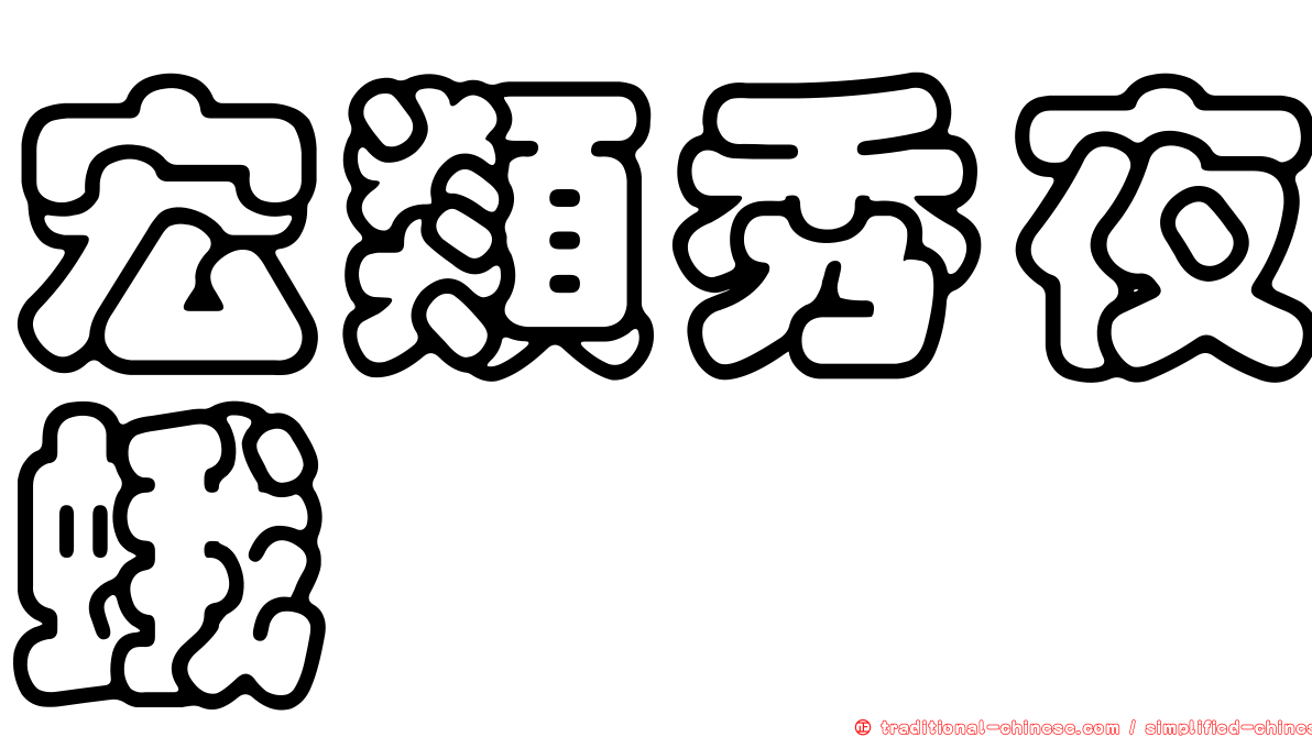 宏類秀夜蛾