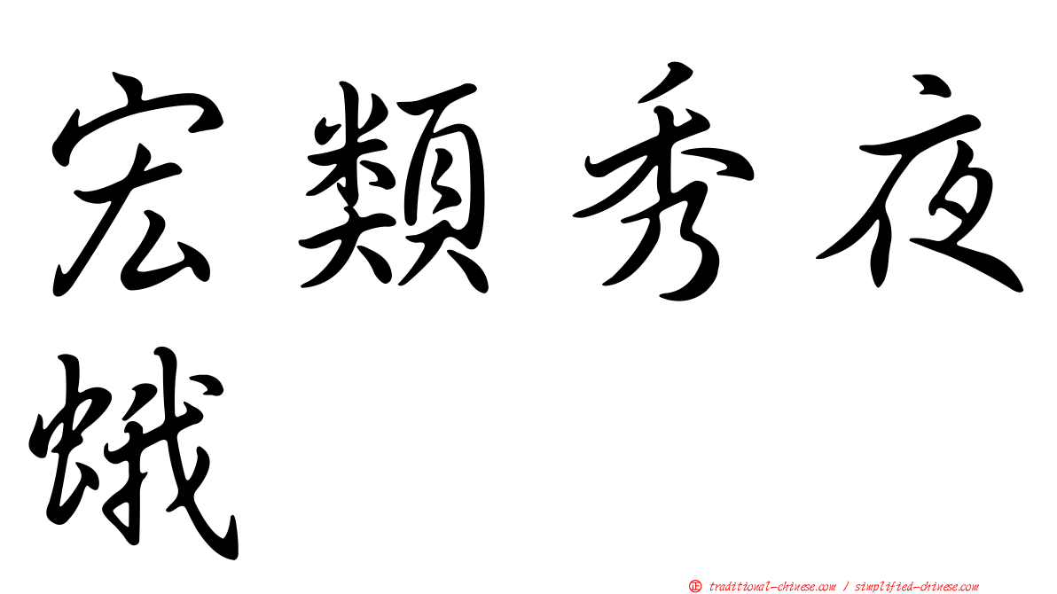宏類秀夜蛾