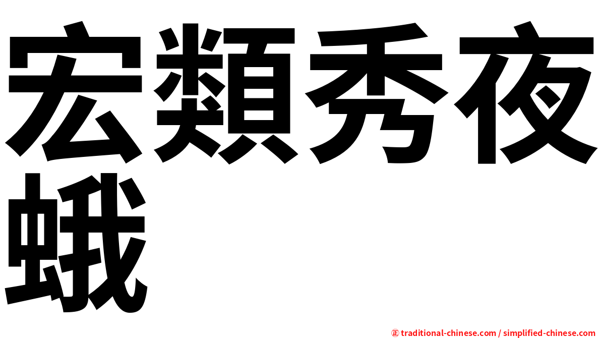 宏類秀夜蛾