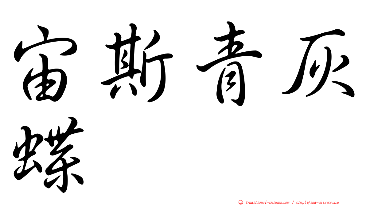 宙斯青灰蝶