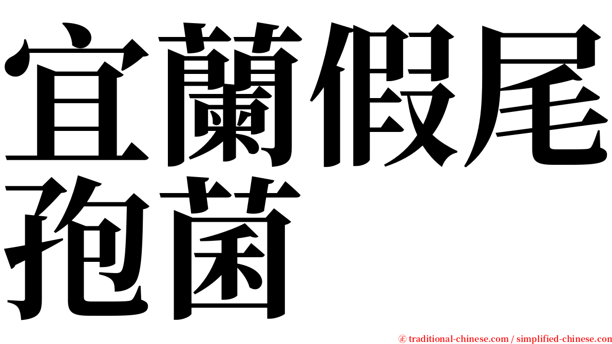 宜蘭假尾孢菌 serif font