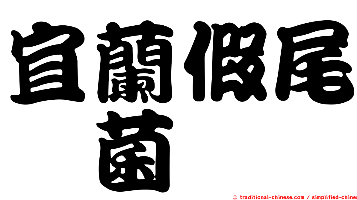 宜蘭假尾孢菌