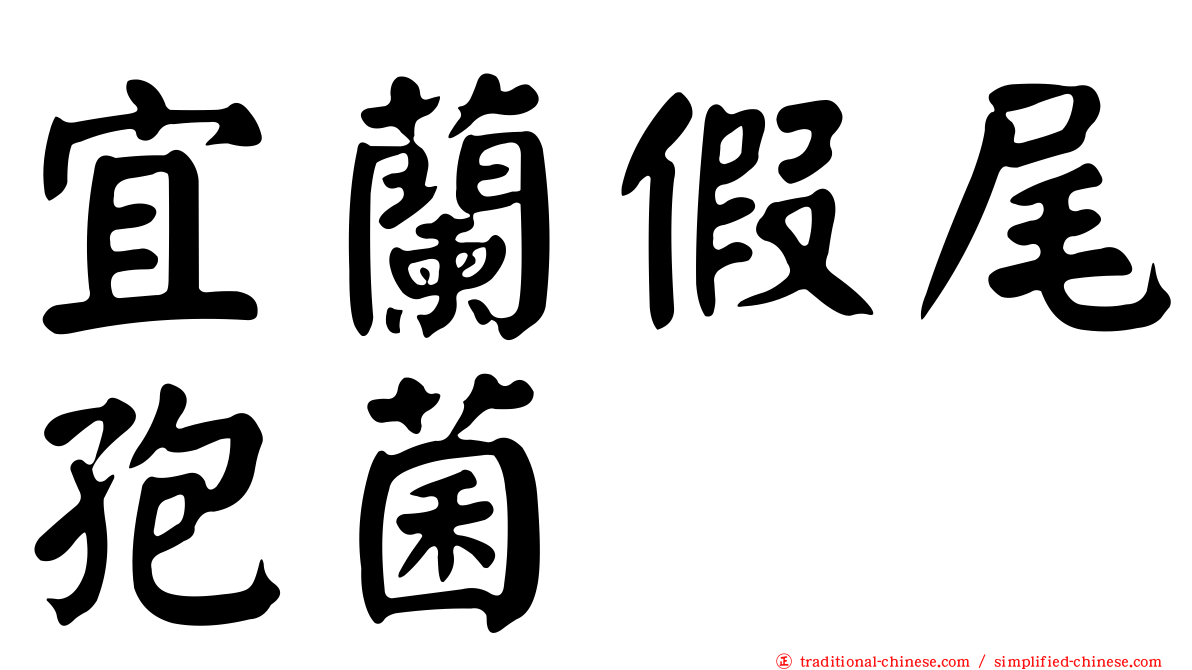 宜蘭假尾孢菌