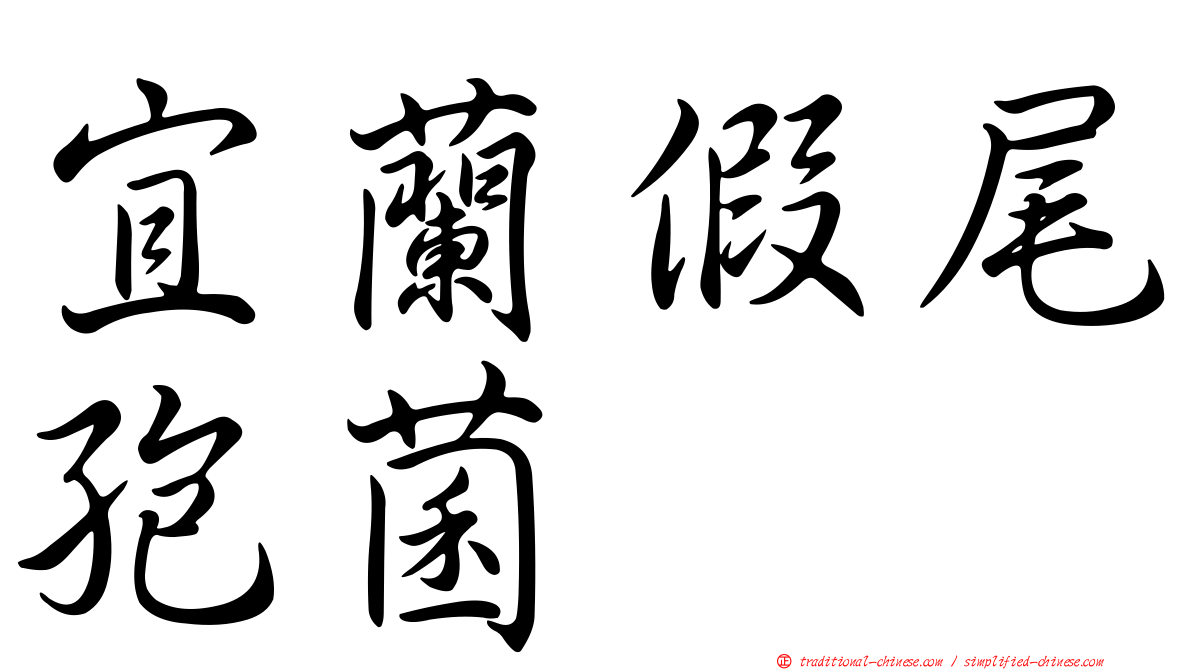 宜蘭假尾孢菌