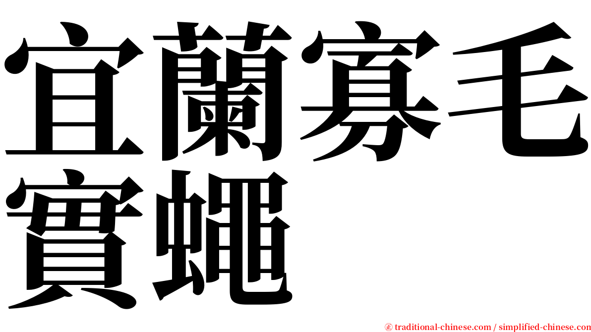 宜蘭寡毛實蠅 serif font