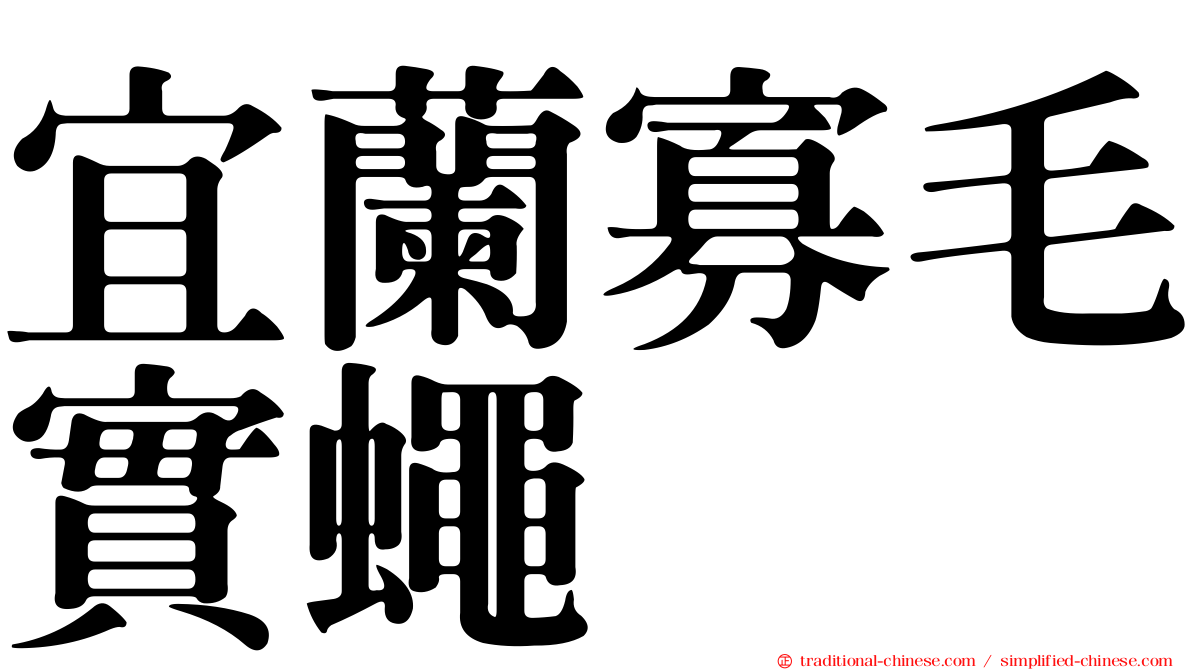 宜蘭寡毛實蠅