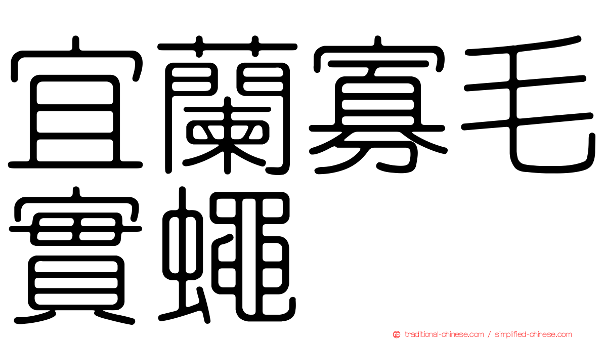 宜蘭寡毛實蠅