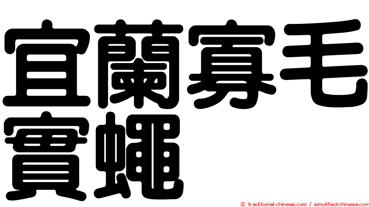 宜蘭寡毛實蠅