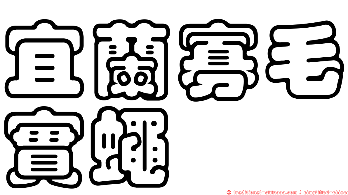 宜蘭寡毛實蠅