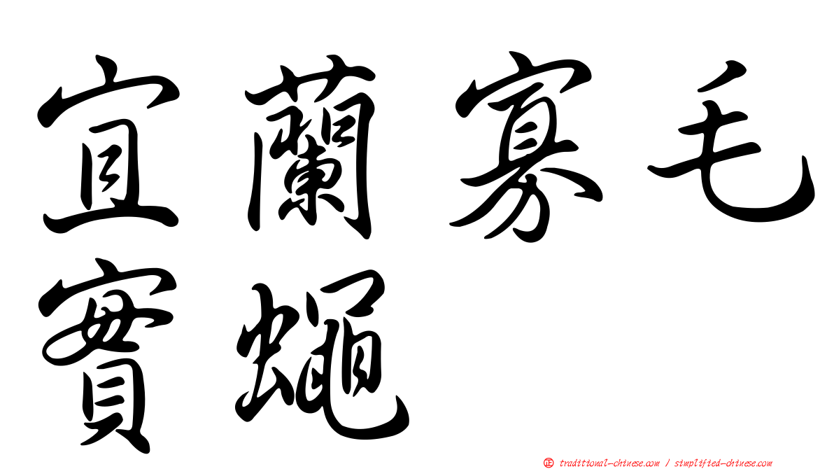 宜蘭寡毛實蠅
