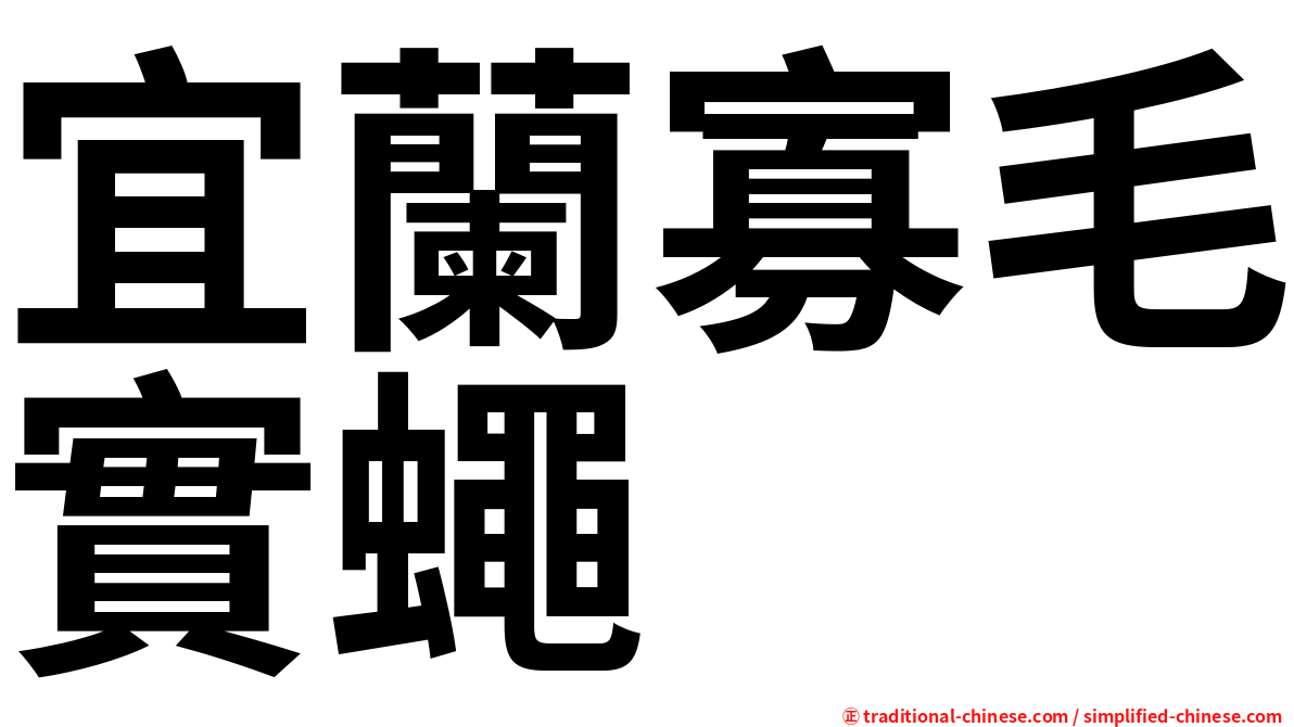 宜蘭寡毛實蠅
