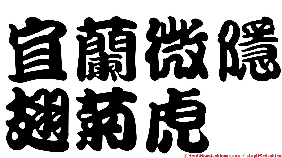宜蘭微隱翅菊虎