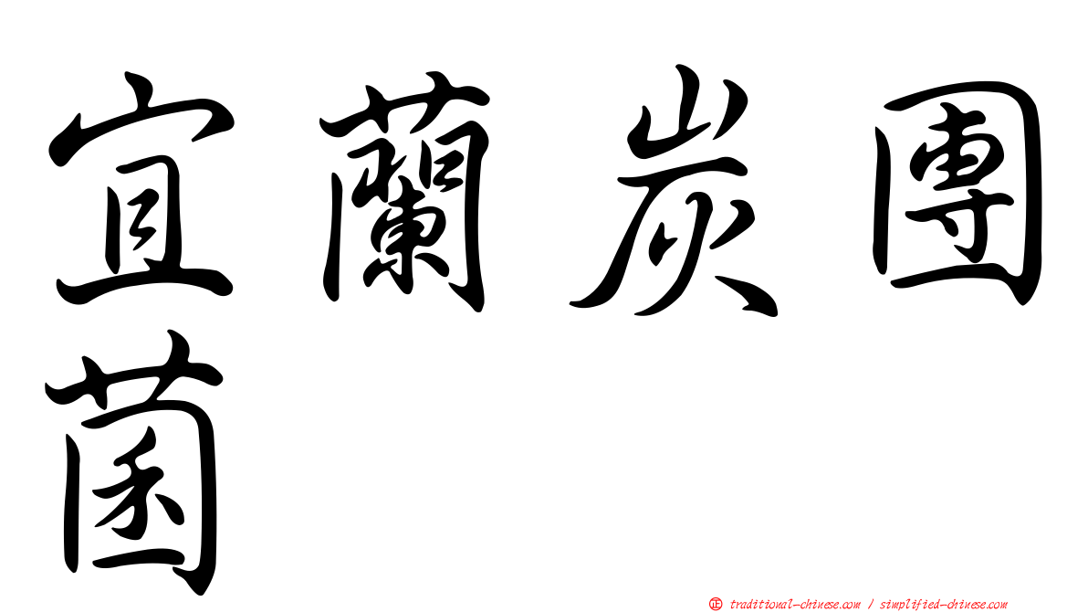 宜蘭炭團菌