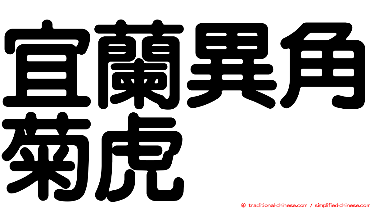 宜蘭異角菊虎