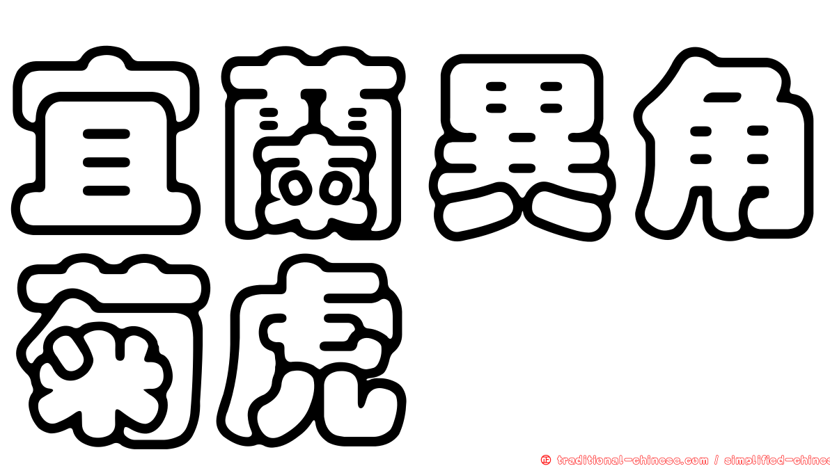 宜蘭異角菊虎