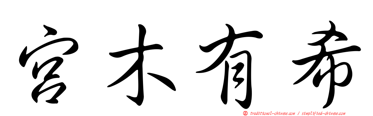 宮木有希