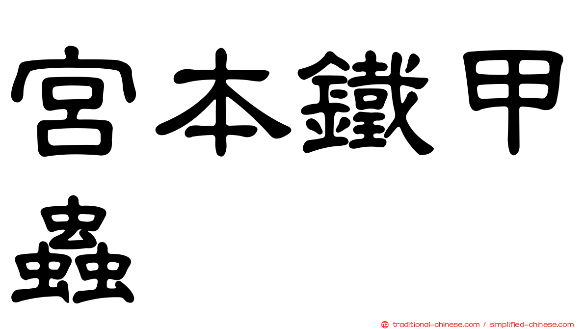 宮本鐵甲蟲