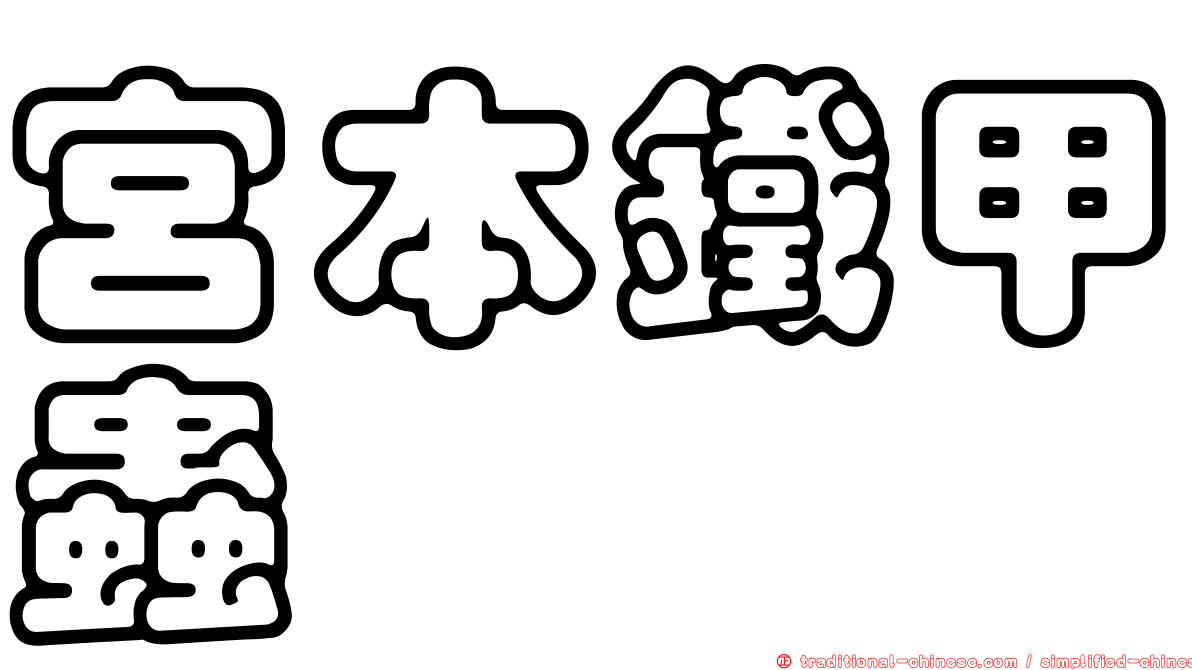 宮本鐵甲蟲
