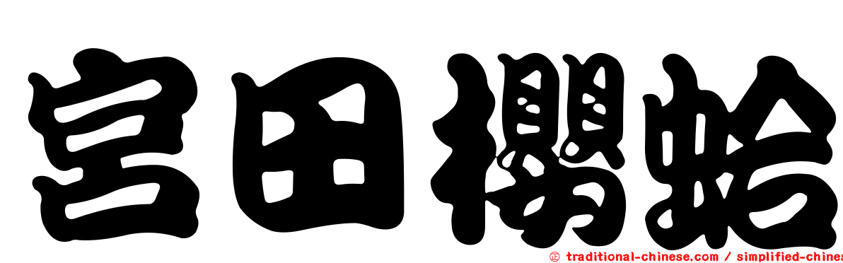 宮田櫻蛤