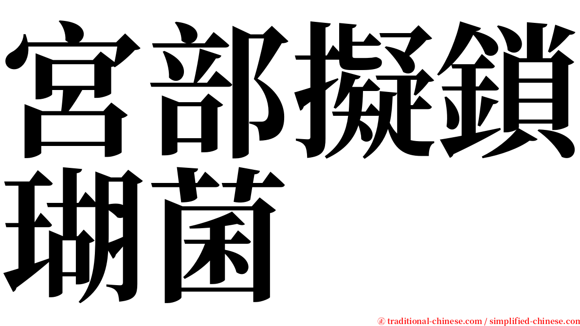 宮部擬鎖瑚菌 serif font