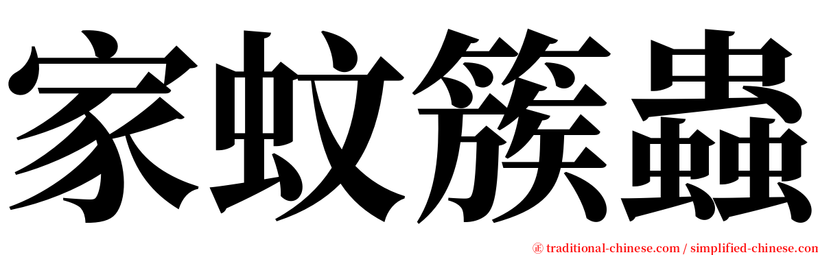 家蚊簇蟲 serif font
