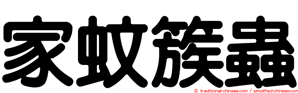 家蚊簇蟲