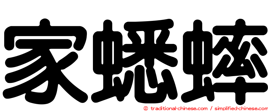 家蟋蟀