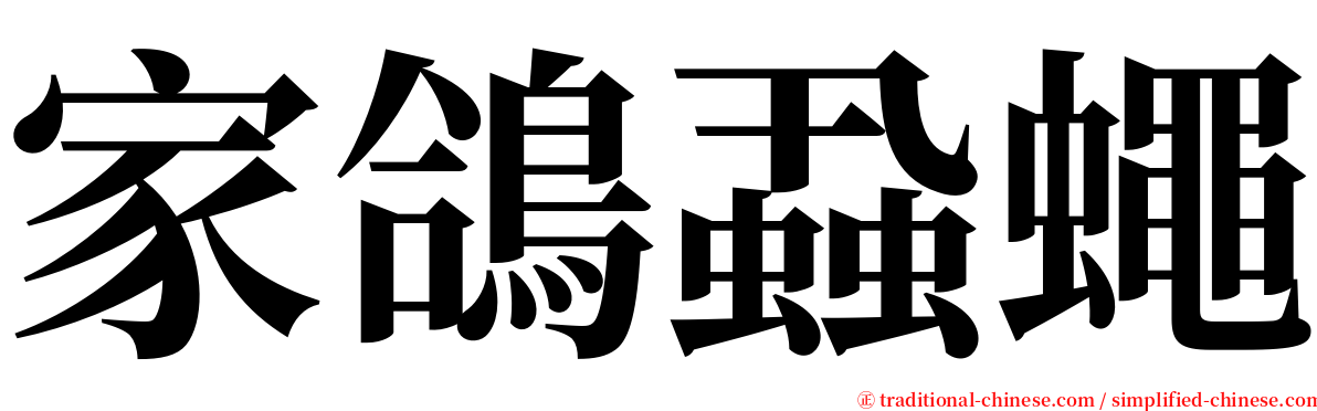 家鴿蝨蠅 serif font