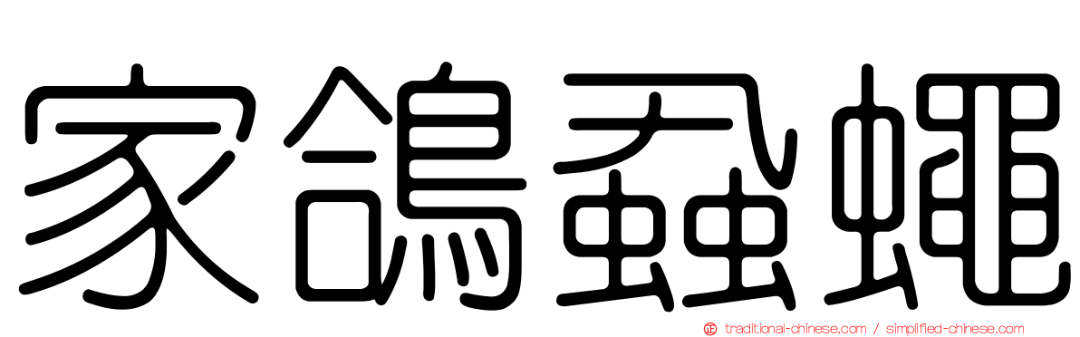 家鴿蝨蠅