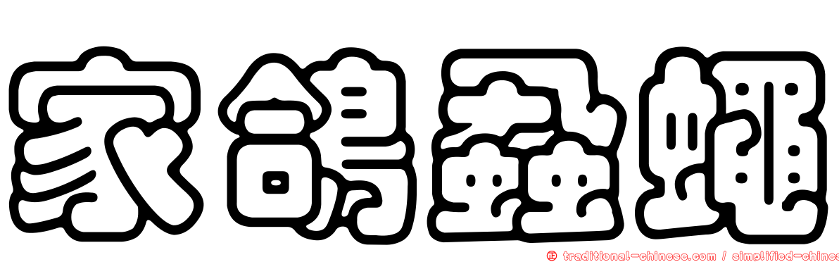 家鴿蝨蠅