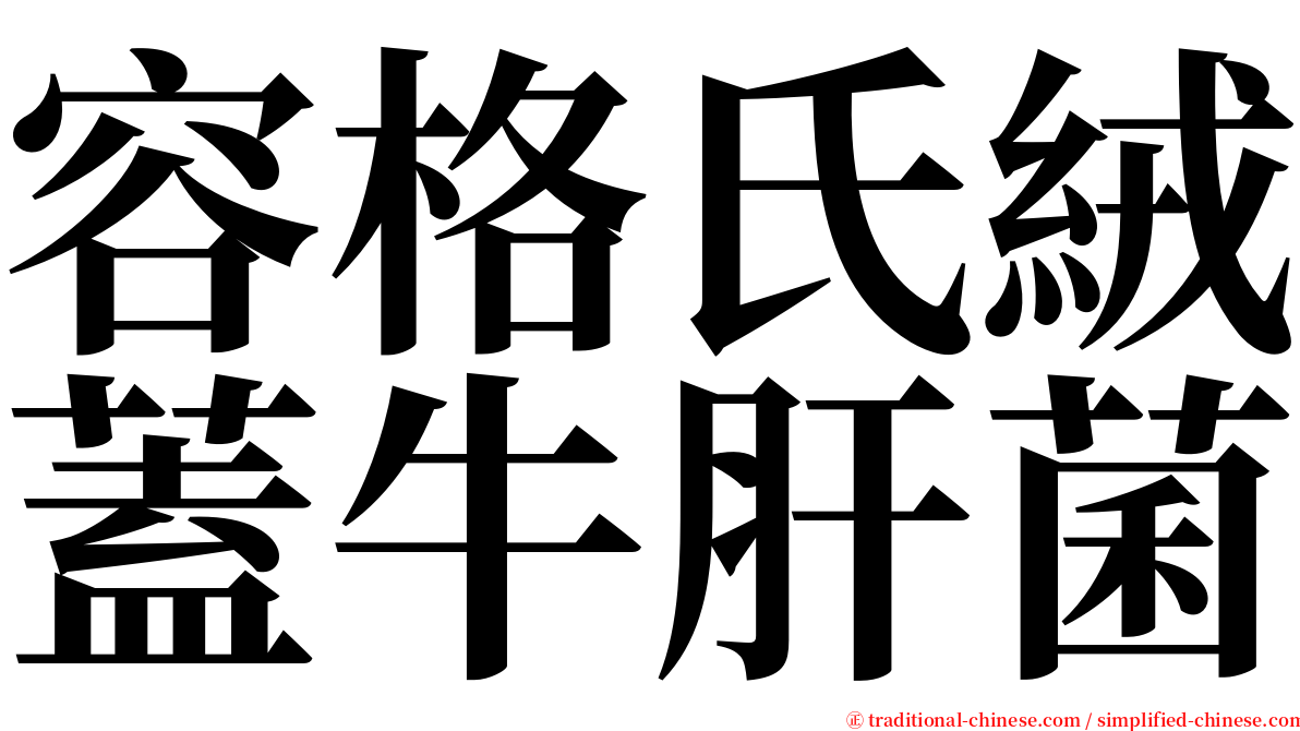 容格氏絨蓋牛肝菌 serif font