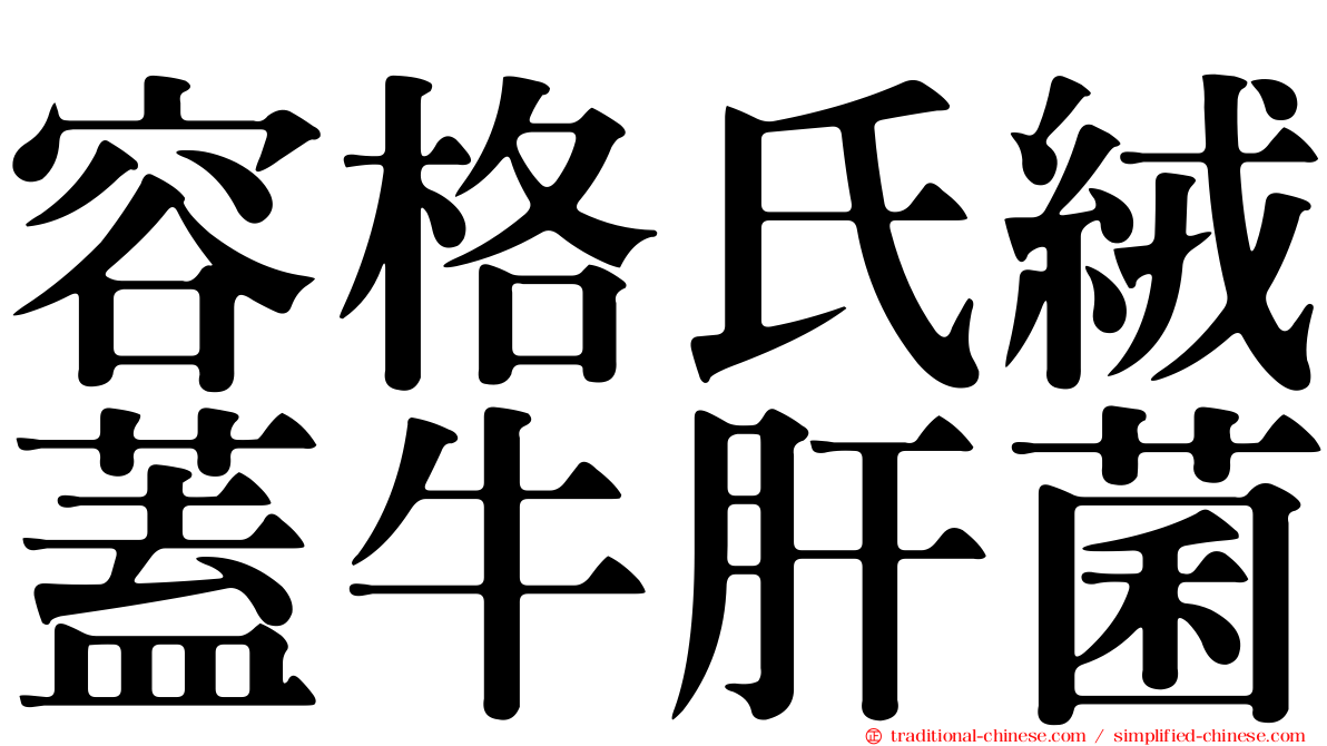 容格氏絨蓋牛肝菌