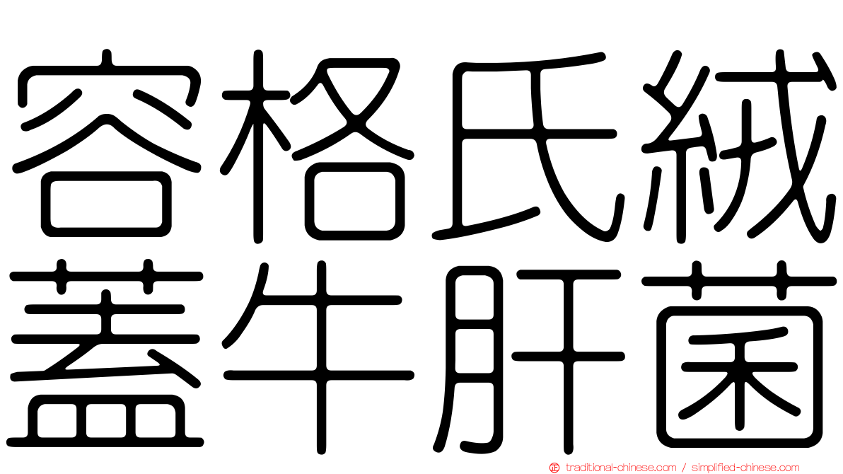 容格氏絨蓋牛肝菌