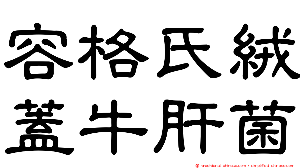 容格氏絨蓋牛肝菌