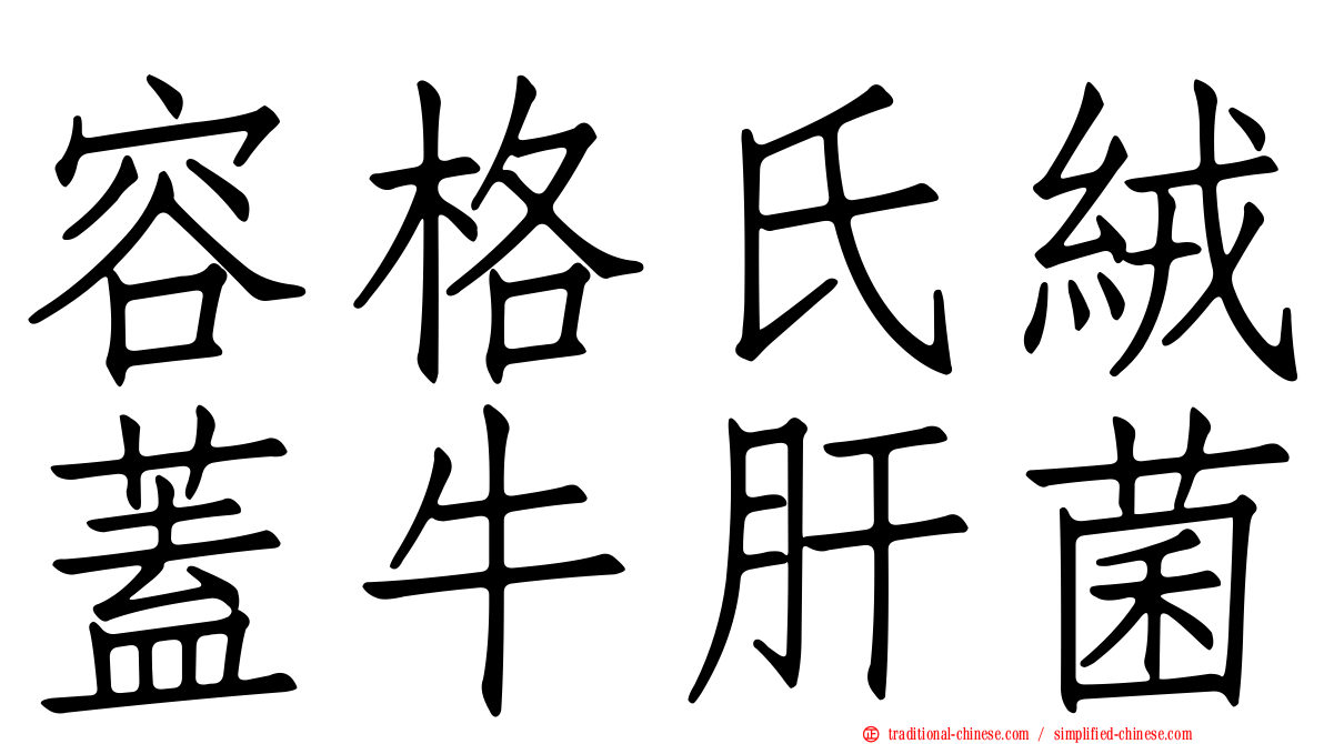 容格氏絨蓋牛肝菌