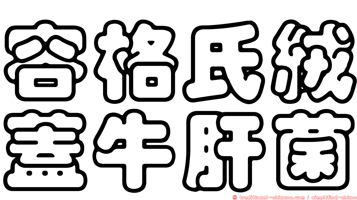 容格氏絨蓋牛肝菌