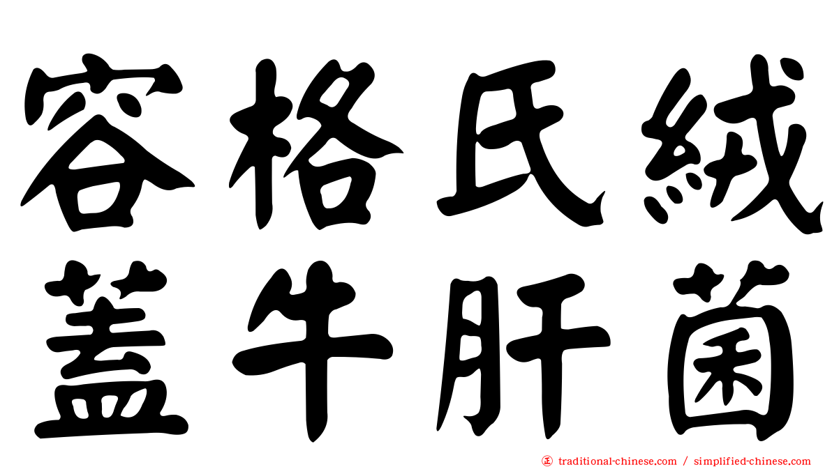 容格氏絨蓋牛肝菌