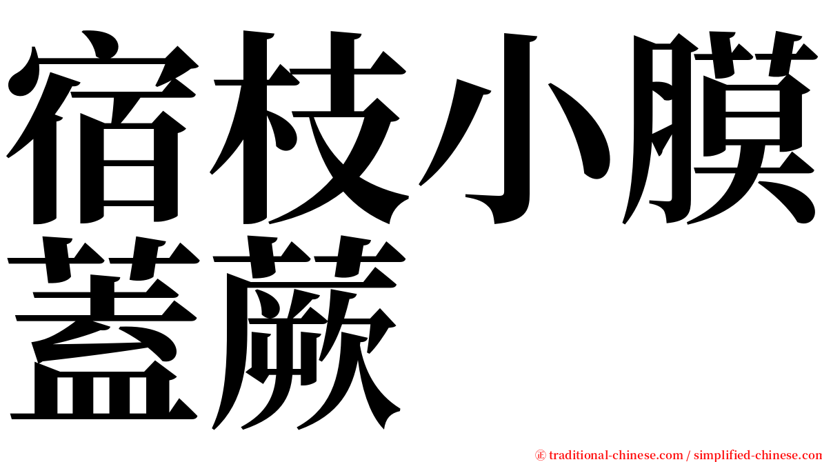 宿枝小膜蓋蕨 serif font