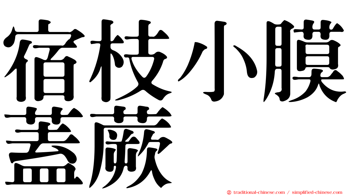 宿枝小膜蓋蕨