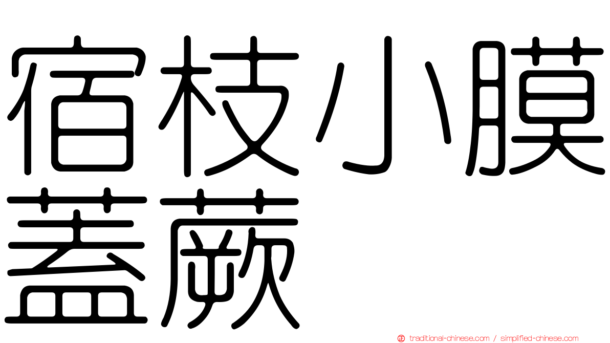 宿枝小膜蓋蕨